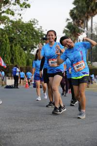 BIB: 883, 8837
                            <button type="button" onclick="openModal(3502392)" class="btn btn-primary btn-sm float-right btn-popup" data-toggle="modal" data-target=".modal-high-quality">
                        <i class="fas fa-shopping-cart"></i> Add to Cart
                    </button>
                                            <button type="button" onclick="isThisMe(3502392, true)" class="btn btn-success btn-sm float-right btn-popup btn-isme hidden" data-toggle="tooltip" data-placement="bottom" title="นี่คือรูปของคุณใช่ไหม คลิกที่นี่เพื่อเอาเข้าอัลบั้ม">
                        <i class="fas fa-plus"></i> Add to album
                    </button>
                    <button type="button" onclick="isThisMe(3502392, false)" class="btn btn-warning btn-sm float-right btn-popup btn-isnotme hidden">
                        <i class="fas fa-ban"></i> Remove from album
                    </button>